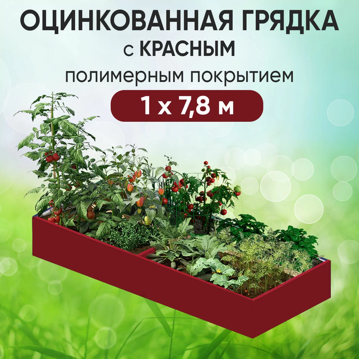 Грядка красная (1 х 7,8)